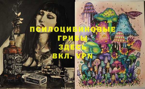 PSILOCYBIN Рославль