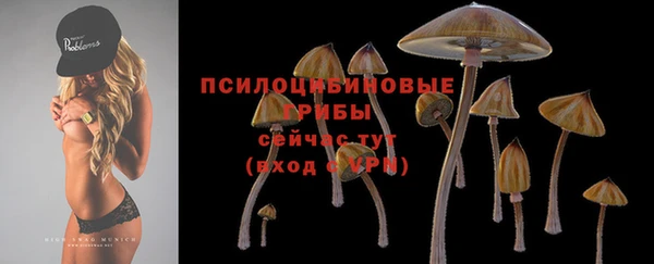 PSILOCYBIN Рославль