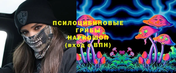 PSILOCYBIN Рославль