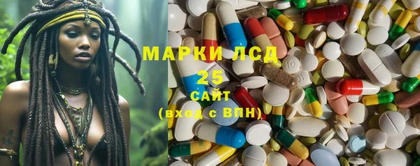 PSILOCYBIN Рославль