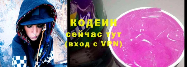 PSILOCYBIN Рославль