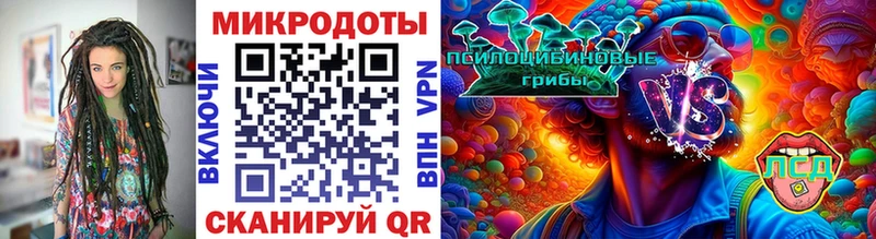 Купить закладки Юрга Галлюциногенные грибы мицелий